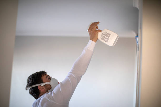 Best Mold Testing and Inspection Services in Algonac, MI