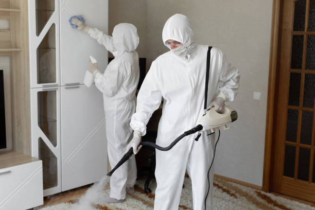 Best Industrial Mold Remediation in Algonac, MI