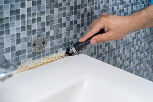 Best Commercial Mold Remediation in Algonac, MI