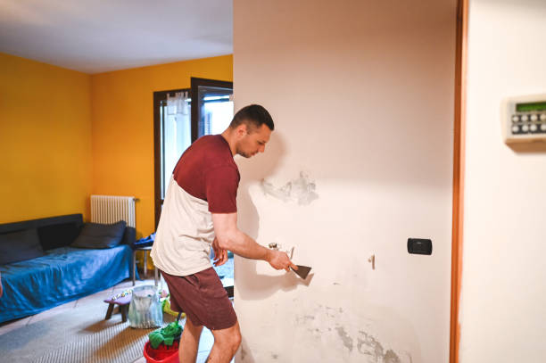 Best Post-Remediation Services in Algonac, MI